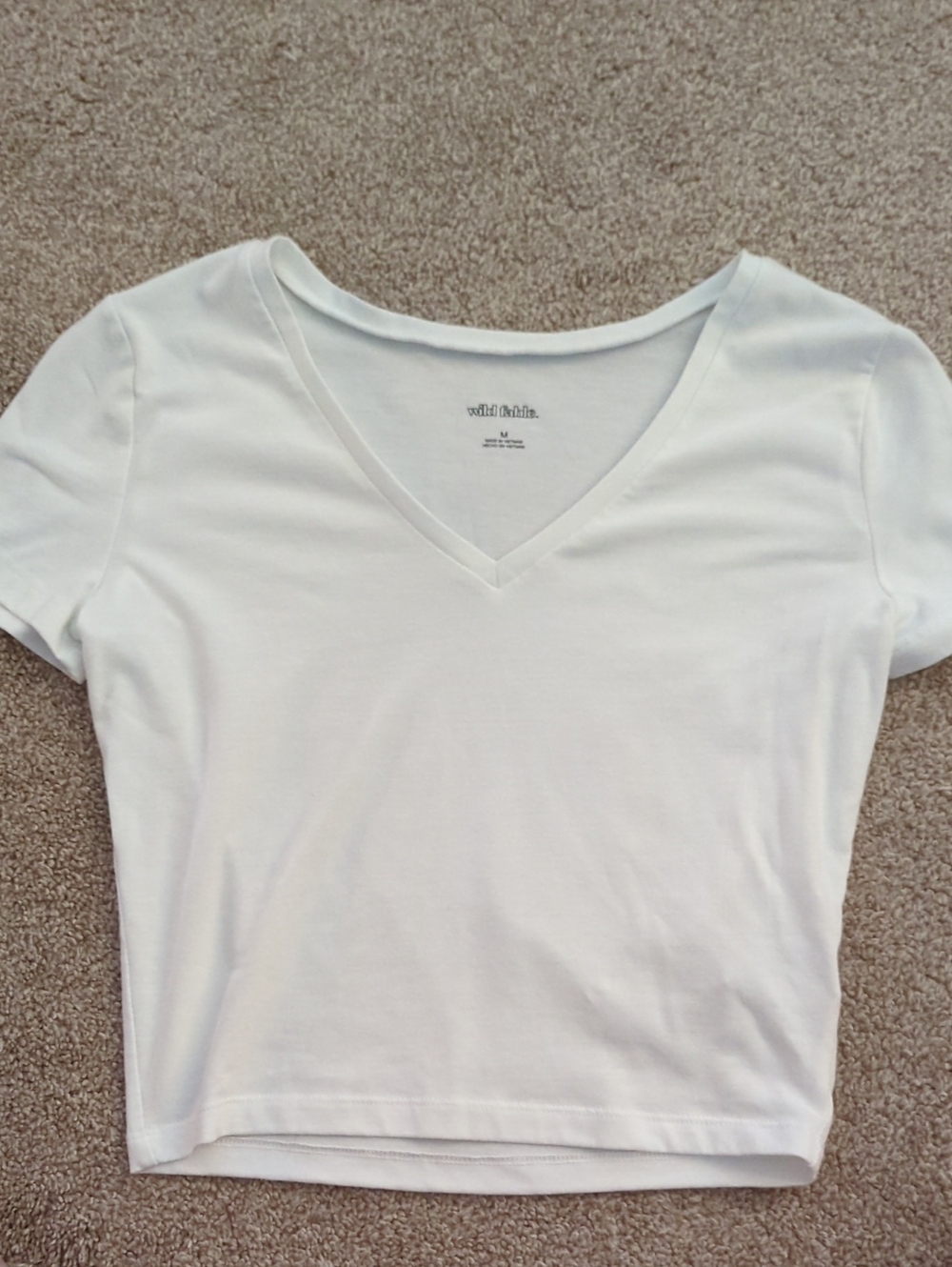 wild fable White V-Neck Crop Tee